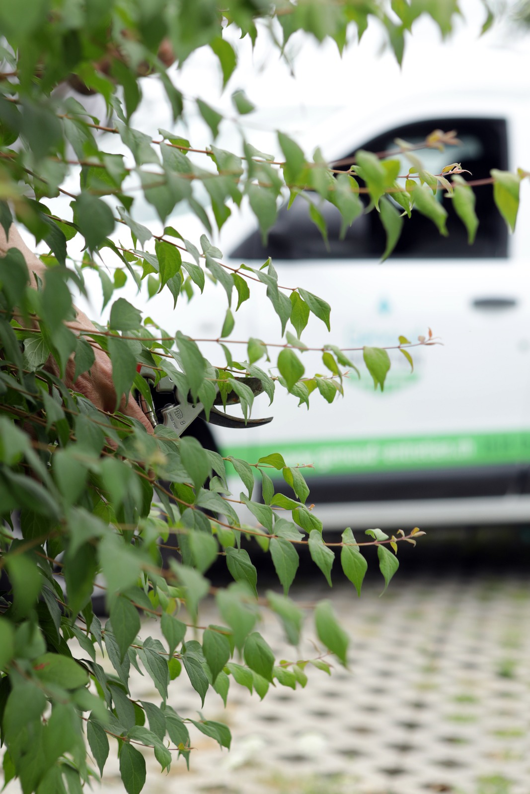 service-entretien-exterieur